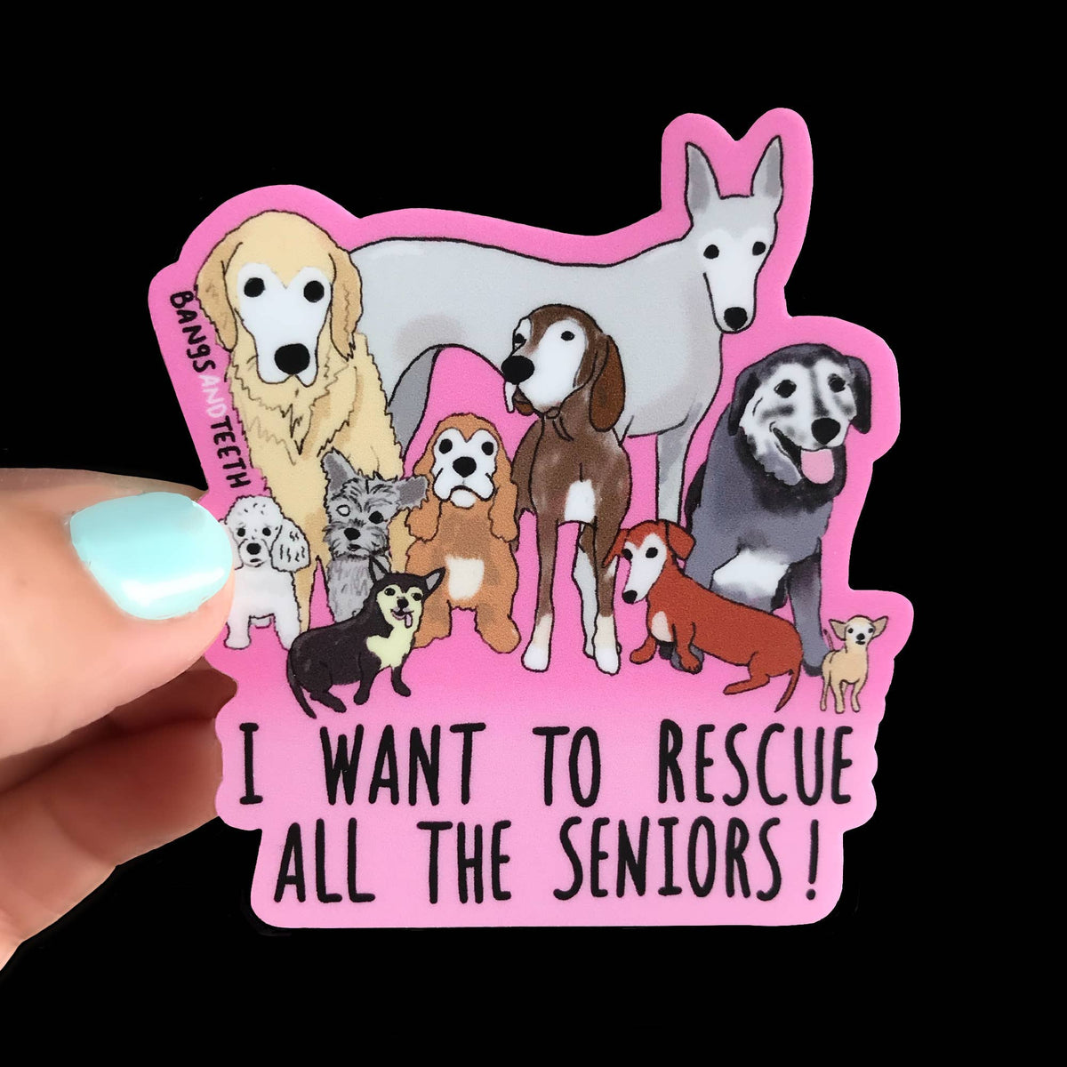 I Want To Rescue All The Seniors - Dog Sticker